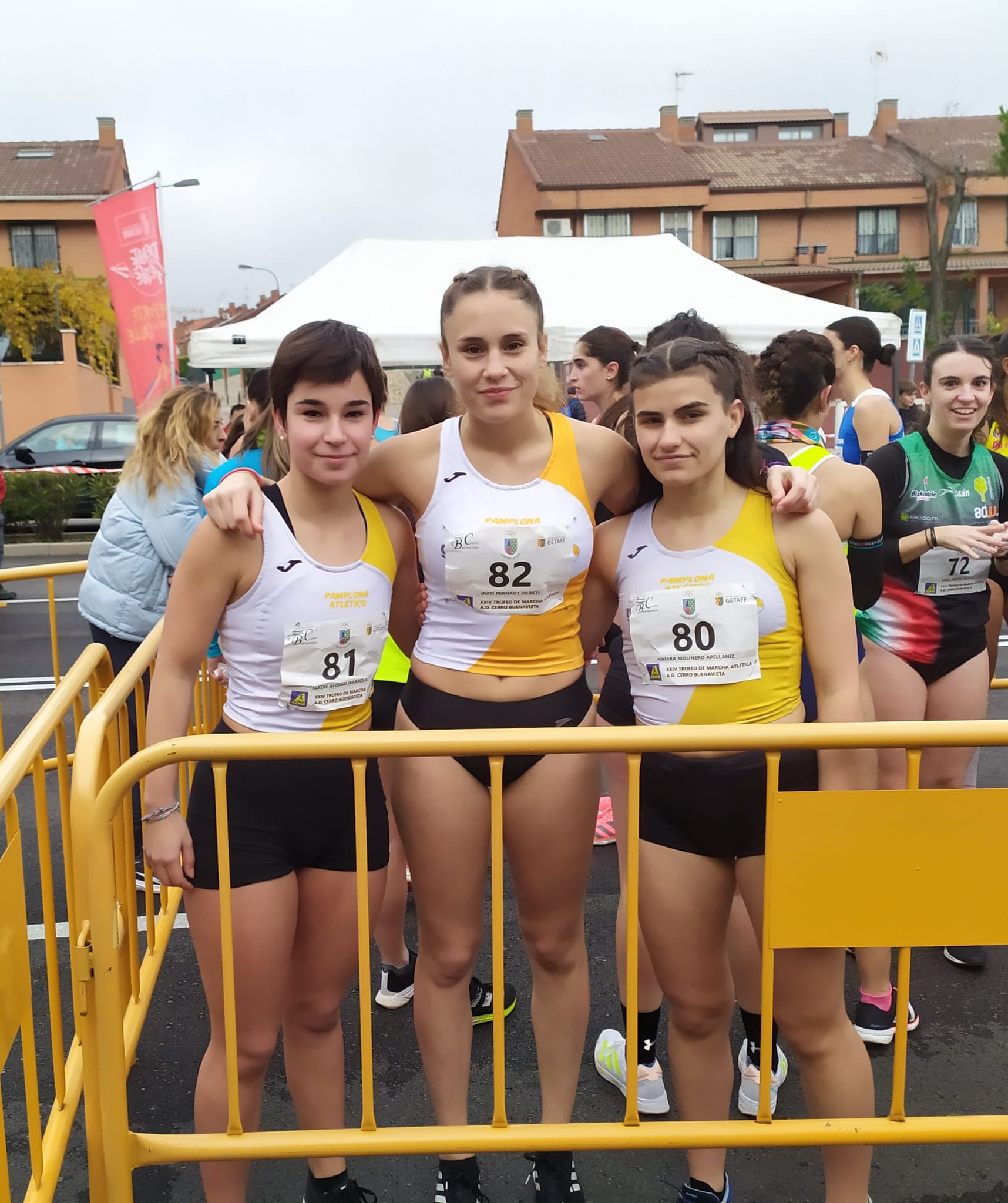 Actividades PRONATREN